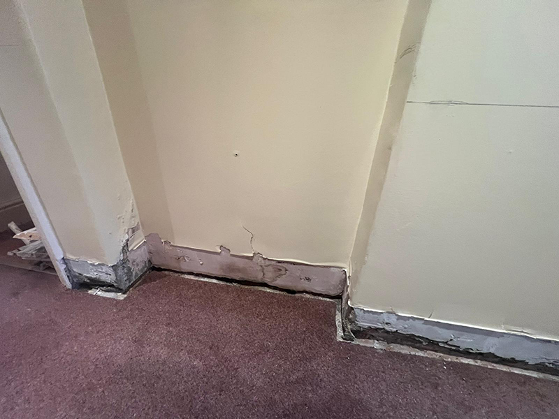 Image showing front hallway after having damp proof treatment.