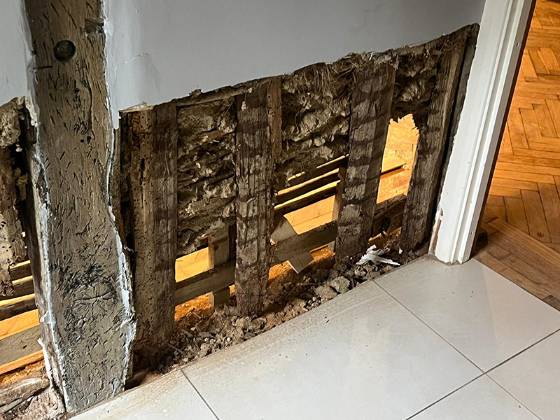 Image showing a hallway wall before damp treatment